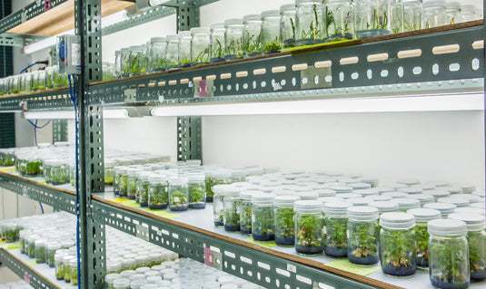 Equipment Every Tissue Culture Lab Should Have (Essential Biotech & Cell Culture Setup Guide)